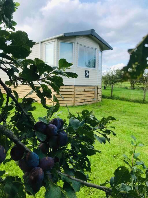 Plum Tree Lodge Set In 2 Acres Of Private Land Coundon Exterior photo